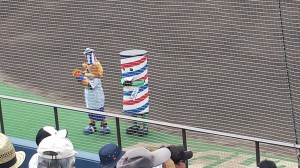 wpid-20140617_125241.jpg